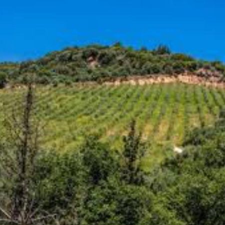 Mystras Inn المظهر الخارجي الصورة