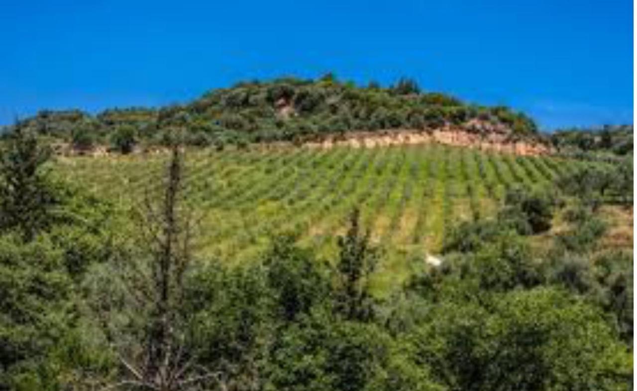 Mystras Inn المظهر الخارجي الصورة